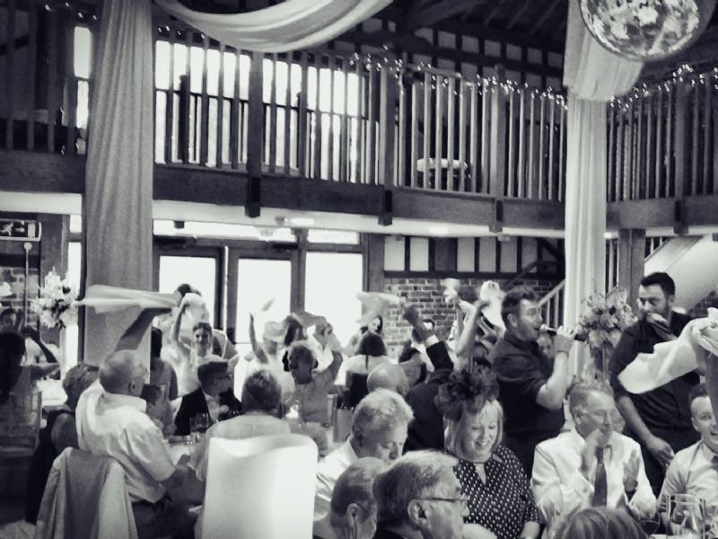 the fantastic singing waiters